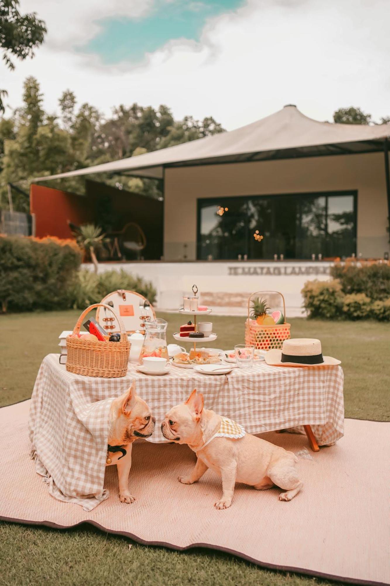 Hotel Te Mata Glamping Nong Nam Daeng Exteriér fotografie